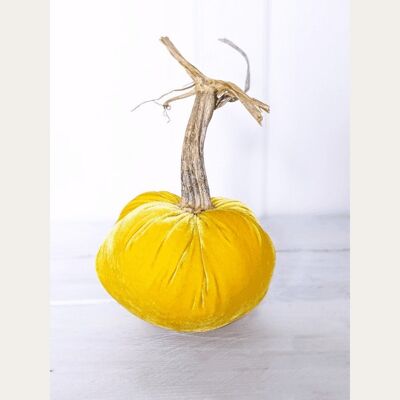 Butternut Pumpkin 3 Inch