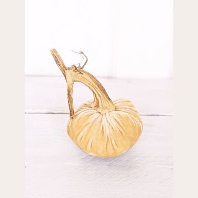 Barley Pumpkin 3 Inch