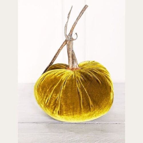 Curry Pumpkin 4 Inch