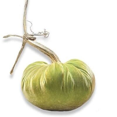 Celery Pumpkin 8 Inch