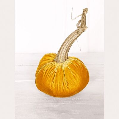 Mustard Pumpkin 3 Inch