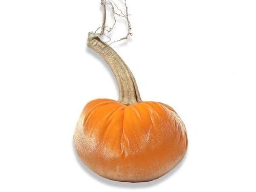 Carrot Pumpkin 6 Inch