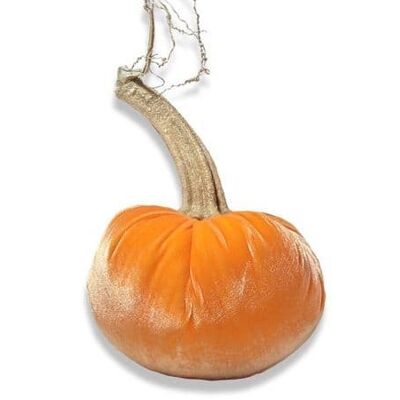 Carrot Pumpkin 6 Inch