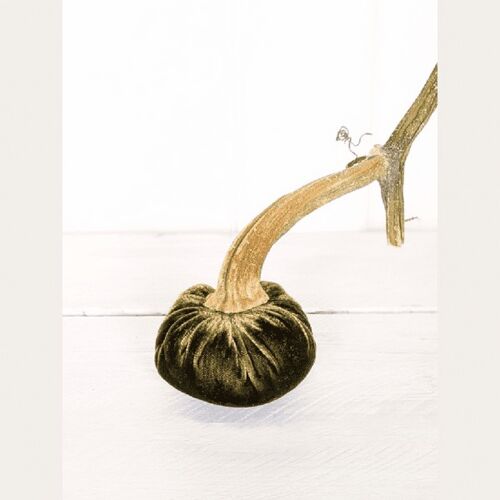 Fern Pumpkin 3 Inch