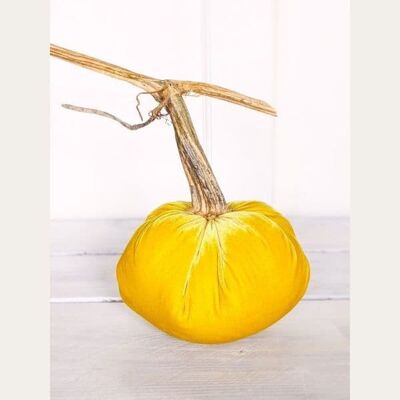 Honey Pumpkin 10 Inch