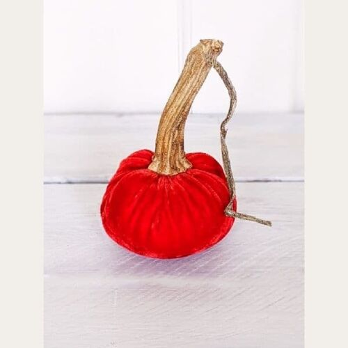 Redcurrant Pumpkin 8 Inch