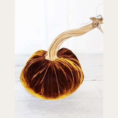 Chestnut Pumpkin 4 Inch