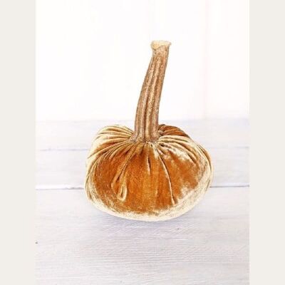 Camel Pumpkin 8 pollici