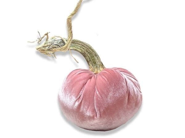 Zucca rosa vintage da 10 pollici