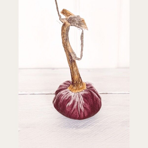 Vecchia zucca rosa 10 pollici