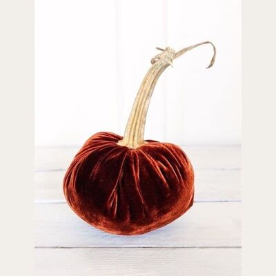 Cinnamon Pumpkin 2 Inch