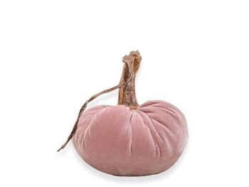 Citrouille rose sombre 10 pouces 1