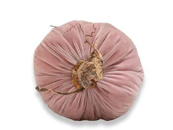 Citrouille rose sombre 10 pouces 4