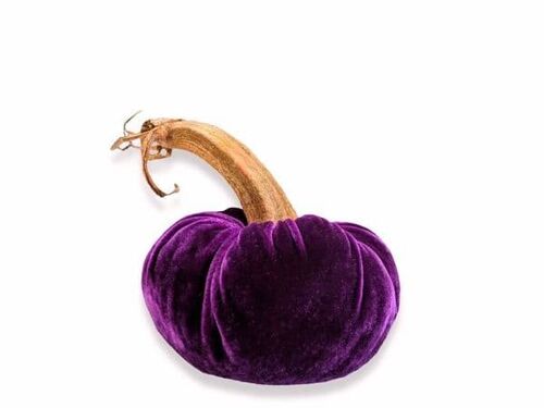 Aubergine Pumpkin 12 Inch