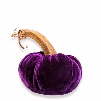 Aubergine Pumpkin 12 Inch