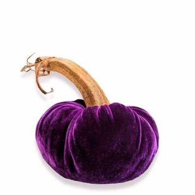 Berenjena Calabaza 8 Pulgadas