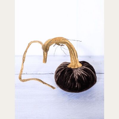 Truffle Pumpkin 6 Inch