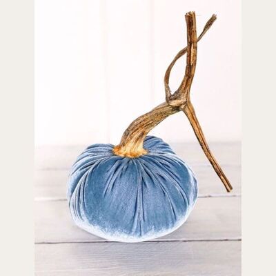 Lagoon Pumpkin 8 Inch