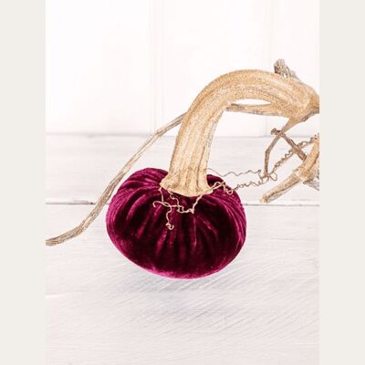 Shiraz Pumpkin 10 Inch