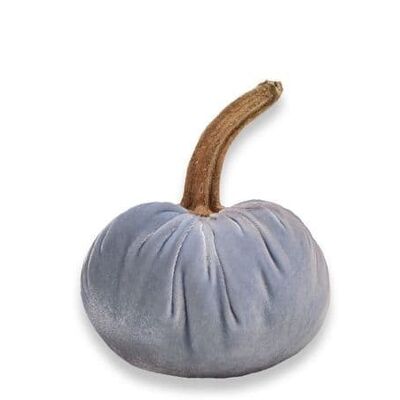 Powder Pumpkin 2 Inch