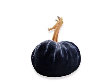 Denim citrouille 4 pouces 2