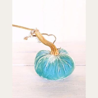 Zucca oceanica 4 pollici