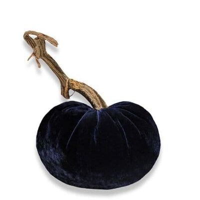 Calabaza azul marino de 4 pulgadas