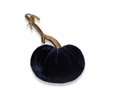 Navy Pumpkin 5 Inch