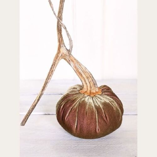 Tea Rose Pumpkin 5 Inch