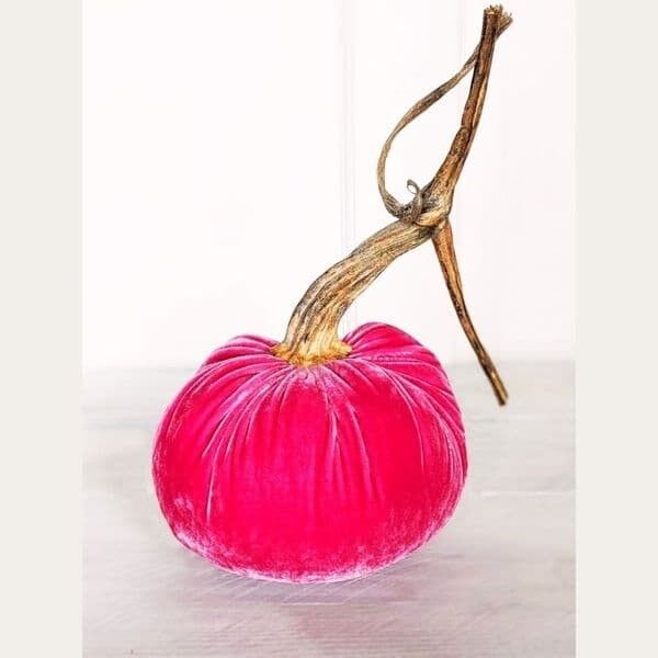 Raspberry Pumpkin 8 Inch