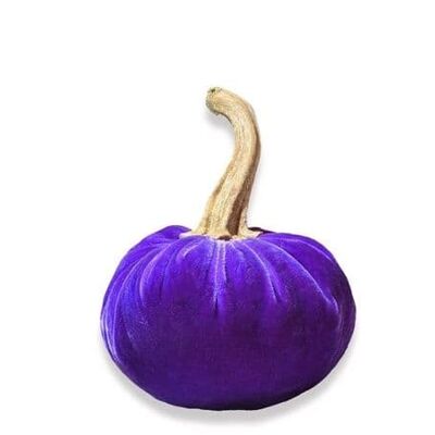 Heather Pumpkin 8 Inch