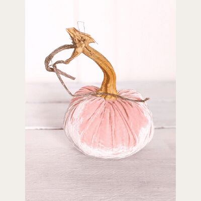 Blush Pumpkin 4 Inch