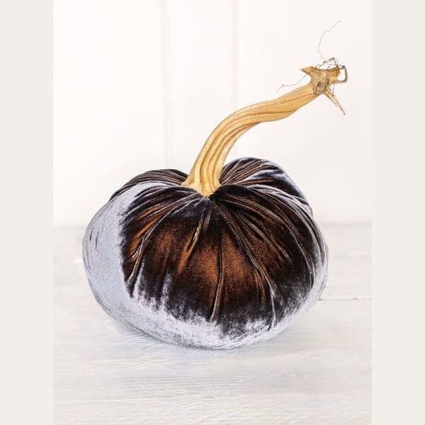 Citrouille Chouette Argentée 2 Pouces