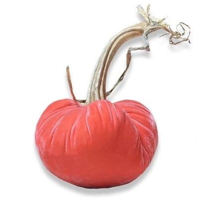 Flamingo Pumpkin 8 Inch