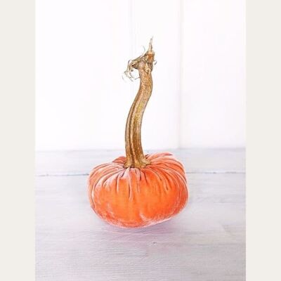 Salmon Pumpkin 6 Inch