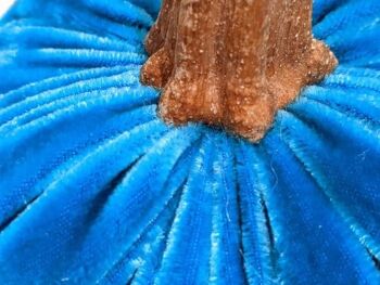 Citrouille turquoise 10 pouces 5