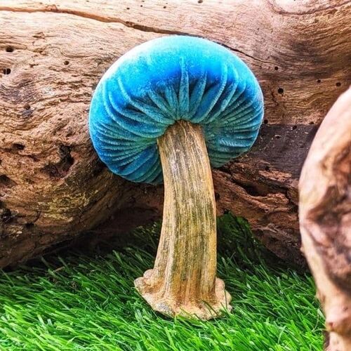 Turquoise silk velvet Porcini 4.5\