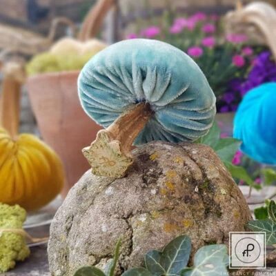 Velours de soie océan Porcini 2.5\