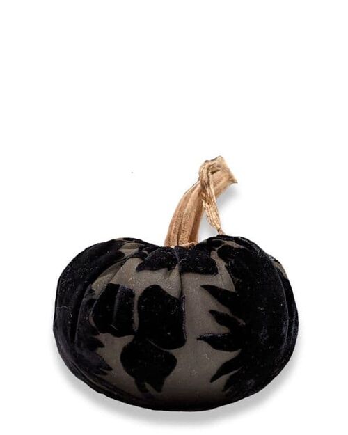 Black Poplar Pumpkin 5 Inch