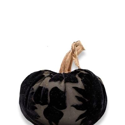 Black Poplar Pumpkin 8 Inch