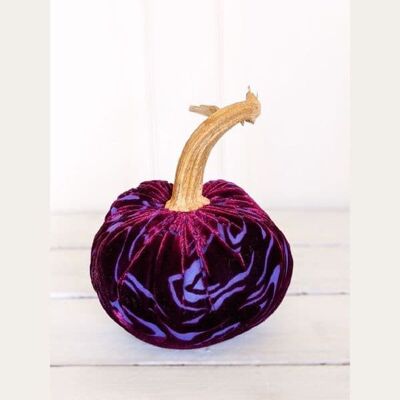 Calabaza de corteza de cereza silvestre de 8 pulgadas