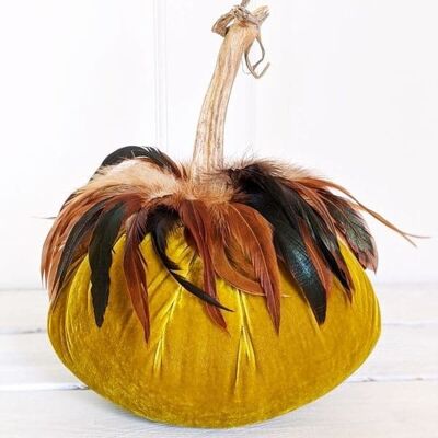 Curry Pumpkin with Schlappen Feather Collar 8 Inch