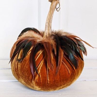 Spice Pumpkin with Schlappen Feather Collar 8 Inch