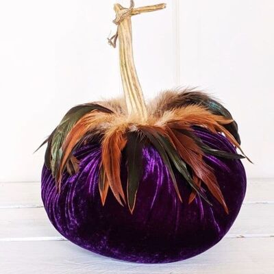 Aubergine Pumpkin with Schlappen Feather Collar 8 Inch