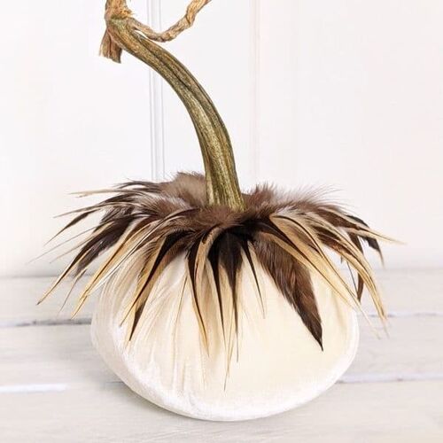 Cream Pumpkin with Hackle Feather Collar 6 Inch
