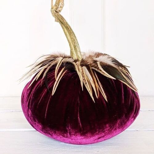 Shiraz Pumpkin with Hackle Feather Collar 8 Inch