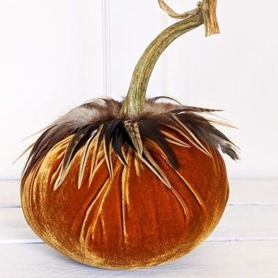 Spice Pumpkin with Hackle Feather Collar 6 Inch