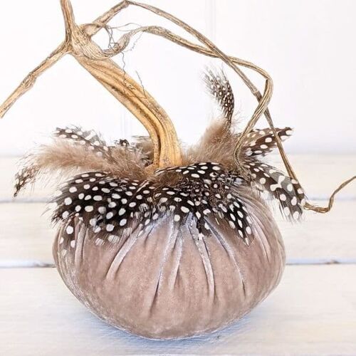 Dove Tale Pumpkin with Guinea Feather Collar 6 Inch