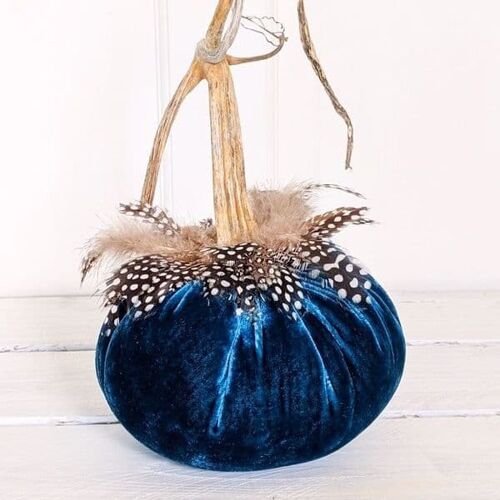 Prussian Pumpkin with Guinea Feather Collar 5 Inch