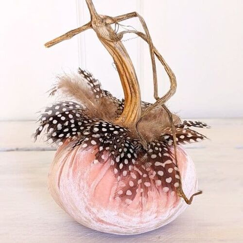 Candy Floss Pumpkin with Guinea Feather Collar 6 Inch